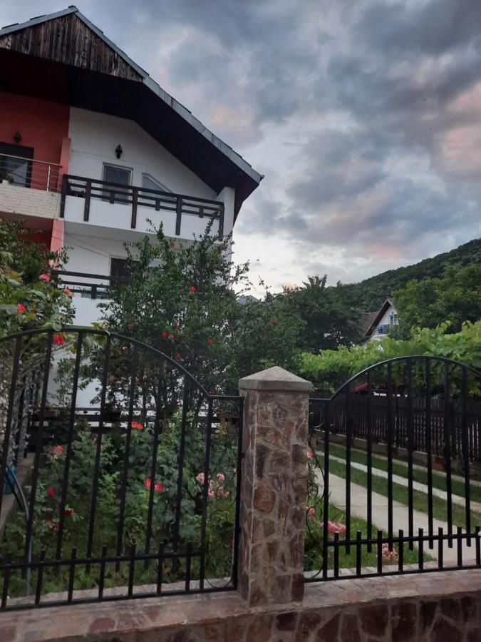Casa Lica Διαμέρισμα Caciulata Εξωτερικό φωτογραφία