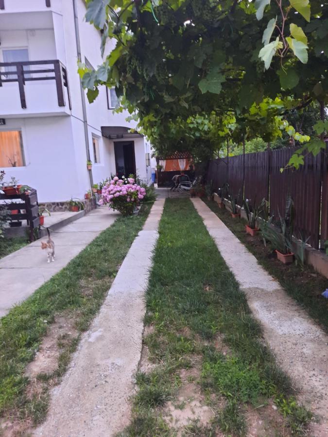 Casa Lica Διαμέρισμα Caciulata Εξωτερικό φωτογραφία